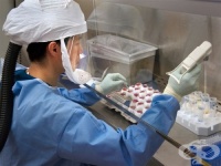 ������ ����������� ���������� �� ����� ������, �� ��� ���������, �� �� � ������� ����